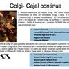Foto31