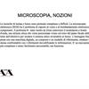 Foto34