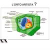Foto40