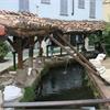 Foto4