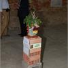 Inaugurazione 7