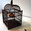Insectida - A noi il pane,a voi le briciole!