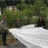 Nuvola a Golgi
