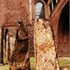 Fossato del Castello Sforzesco di Milano 13