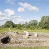 “Scavo Archeologico per reperti di treliti” - topylabrys