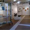 Vista della mostra