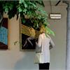 VERNISSAGE 'PERCORSI' DI ATHOS COLLURA