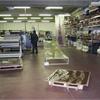 SEMINA IN PRESSOPLAST
