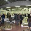 SEMINA IN PRESSOPLAST