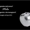 Presentazione-7